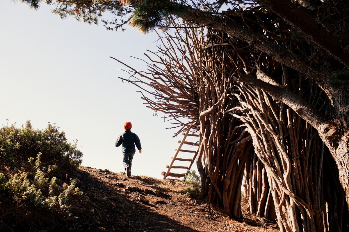 Young child walks towards a stick structure with a wooden ladder on a hilltop under a bright sky, framed by foliage.