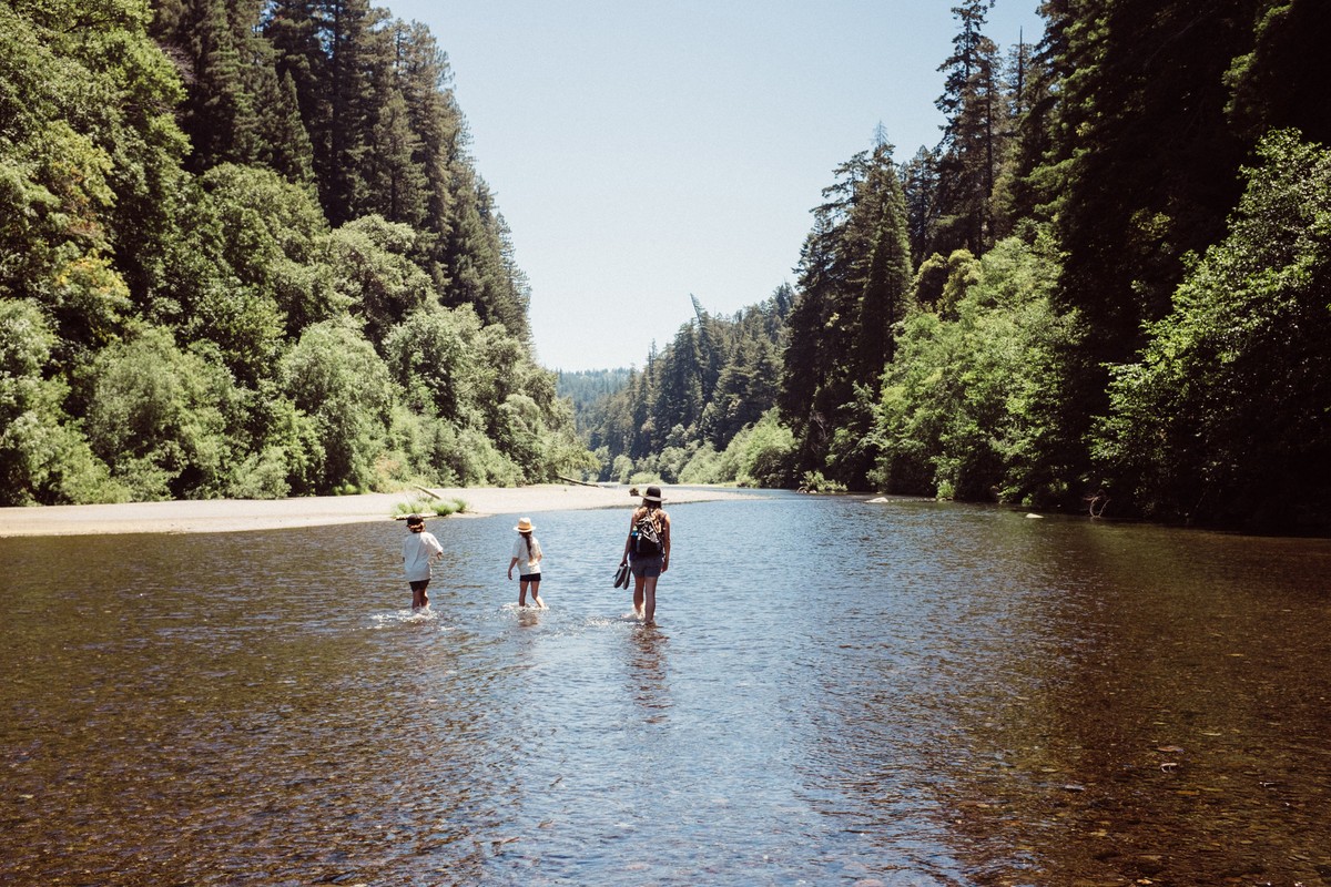 Three people wading through a river surrounded by tall trees and green foliage under a clear sky, capturing a nature scene.