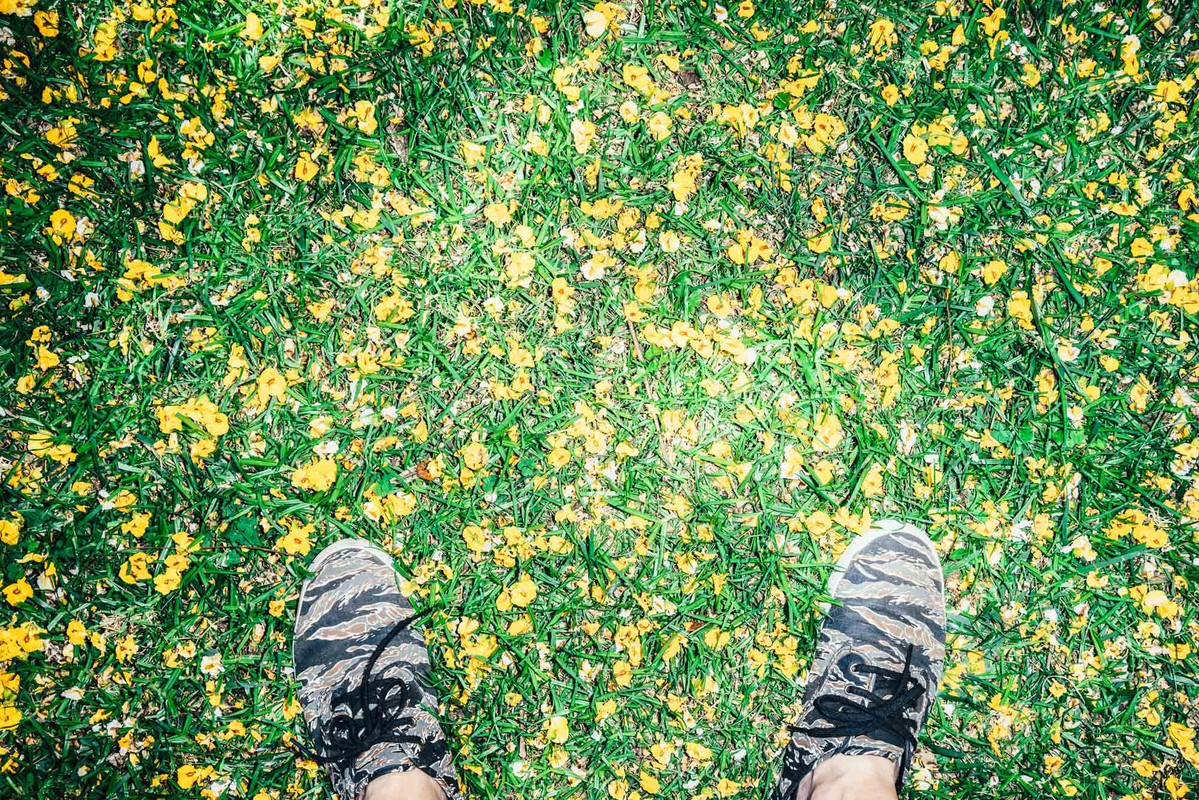 Eye-level shot of person's feet in patterned sneakers standing in a field of green grass covered with small yellow flowers.