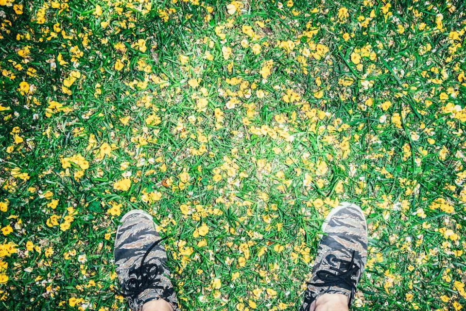 Eye-level shot of person's feet in patterned sneakers standing in a field of green grass covered with small yellow flowers.