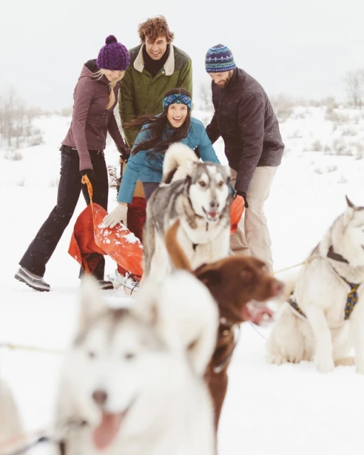Group dog sledding in snowy landscape: four people behind husky dogs pulling sled with red cloth on a winter day.