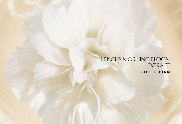 Close-up of a white hibiscus bloom with soft, diffused lighting, highlighting delicate petals, complemented by cosmetic product text.