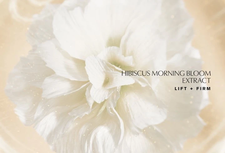 Close-up of a white hibiscus bloom with soft, diffused lighting, highlighting delicate petals, complemented by cosmetic product text.