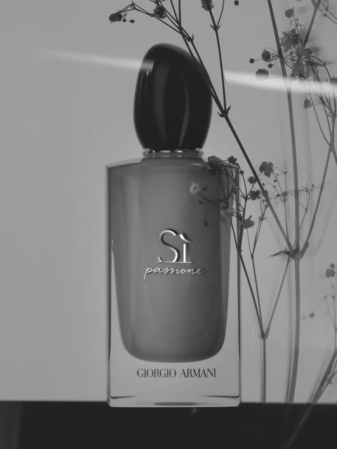 Monochrome studio shot of a Giorgio Armani Si Passione perfume bottle with baby's breath. Minimalist fragrance still life.