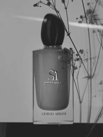 Monochrome studio shot of a Giorgio Armani Si Passione perfume bottle with baby's breath. Minimalist fragrance still life.
