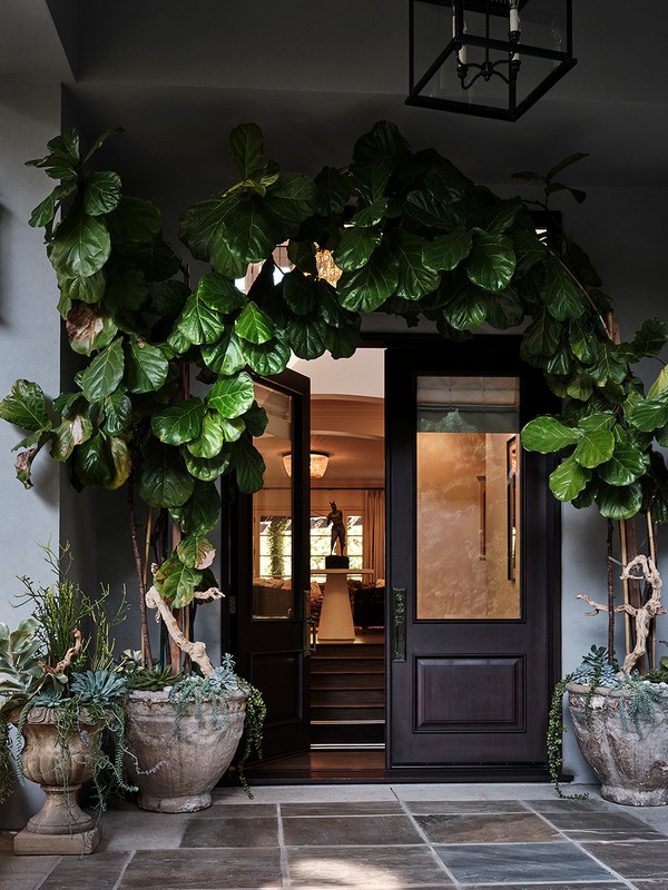 Elegant home entrance with double doors framed by lush fiddle-leaf fig plants in stone planters, leading into a softly lit interior.