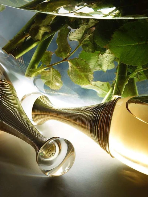 Elegant perfume bottles with clear spherical caps and gold ribbed necks are displayed against a backdrop of lush green leaves.
