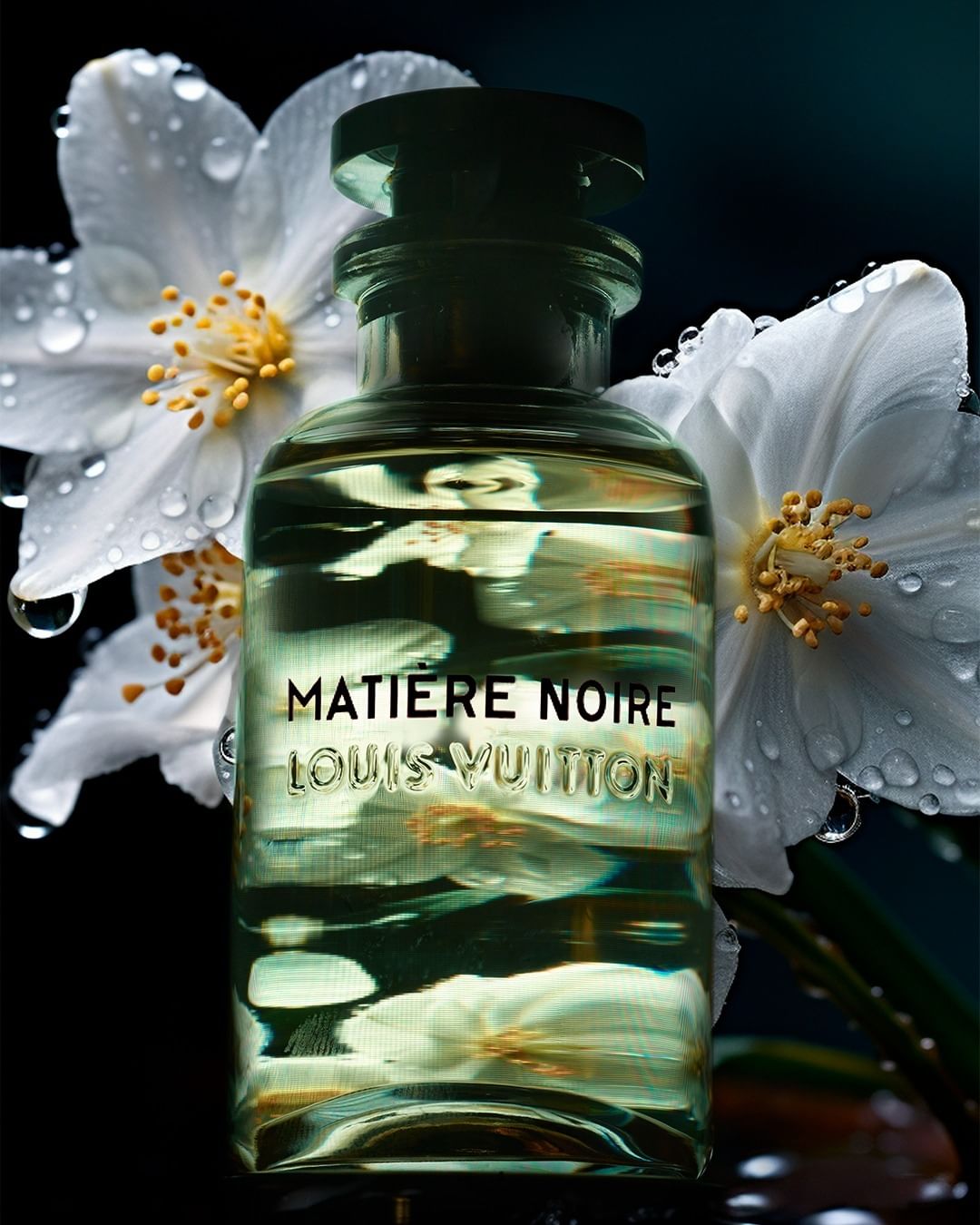 Glass perfume bottle with light green liquid placed centrally against a dark background with dew-covered white flowers.