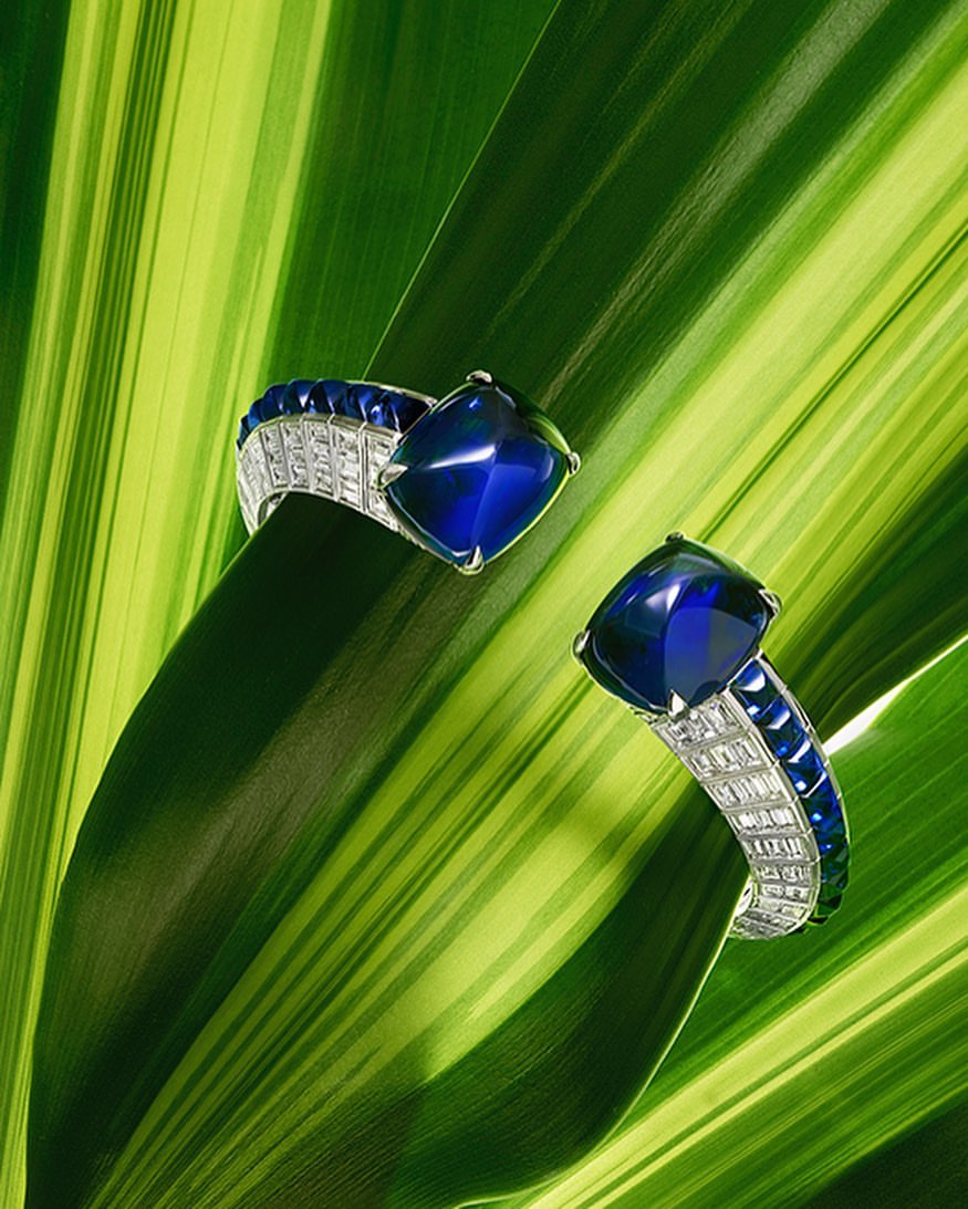Close-up of two gemstone rings with blue stones and white accents on a striped green and yellow leaf, jewelry advertising.