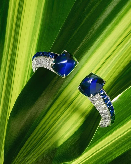 Close-up of two gemstone rings with blue stones and white accents on a striped green and yellow leaf, jewelry advertising.