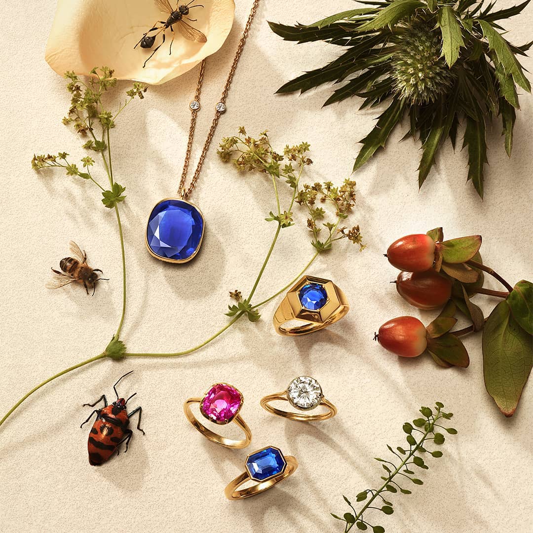 Overhead shot of fine jewelry pieces including rings and a pendant necklace, arranged with sprigs of greenery and insects.