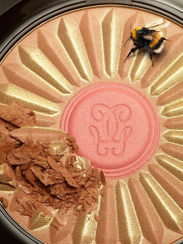 Close-up studio shot of makeup powder palette with an insect. Palette features a radial sunburst design in gold, bronze, and pink hues.