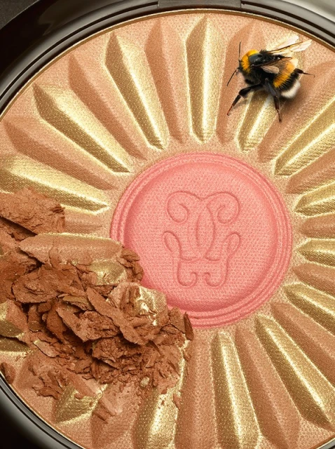 Close-up studio shot of makeup powder palette with an insect. Palette features a radial sunburst design in gold, bronze, and pink hues.
