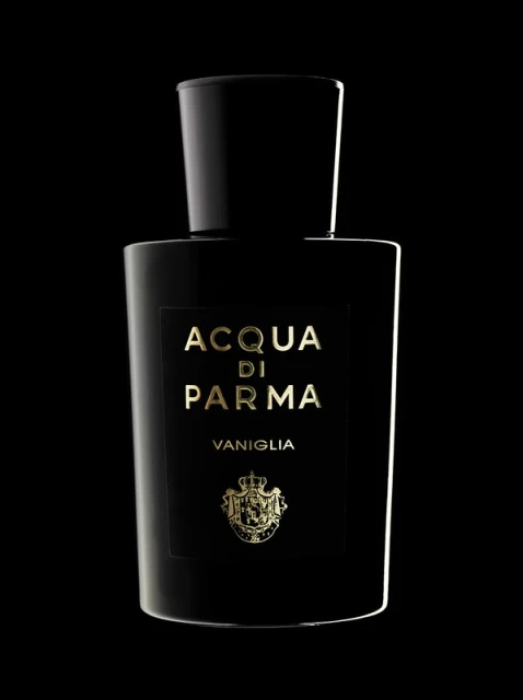 A sleek black perfume bottle with gold lettering and emblem on a dark background, showcasing minimalist design and luxury branding.