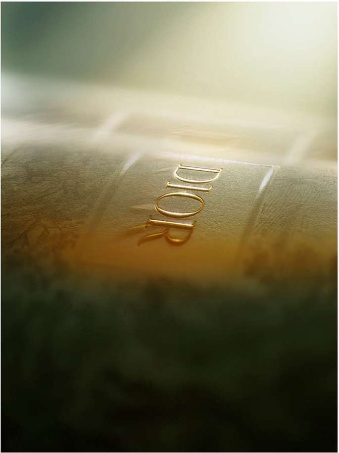 Close-up of golden 'DIOR' letters embossed on a textured surface with soft lighting, evoking luxury and elegance in a fashion context.