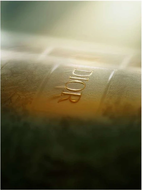 Close-up of golden 'DIOR' letters embossed on a textured surface with soft lighting, evoking luxury and elegance in a fashion context.
