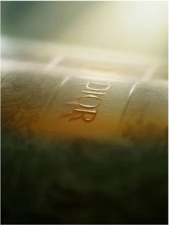 Close-up of golden 'DIOR' letters embossed on a textured surface with soft lighting, evoking luxury and elegance in a fashion context.