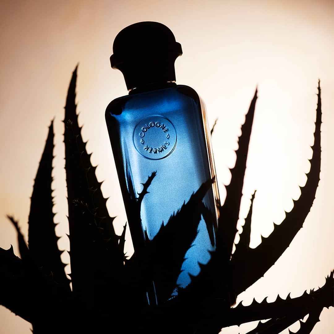 Blue cologne bottle product shot with aloe plant silhouette against a gradient backdrop, for beauty or luxury branding.