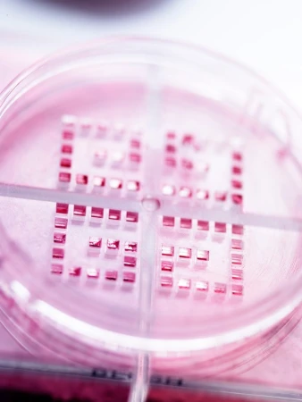 Petri dish filled with a grid of small, reflective squares, set against a muted pink and white background, viewed at an angle.