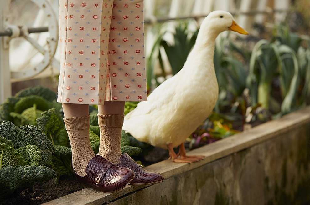 Low-angle shot of a duck alongside an individual wearing tan socks, brown loafers, and pants with Gucci logo standing on a ledge.