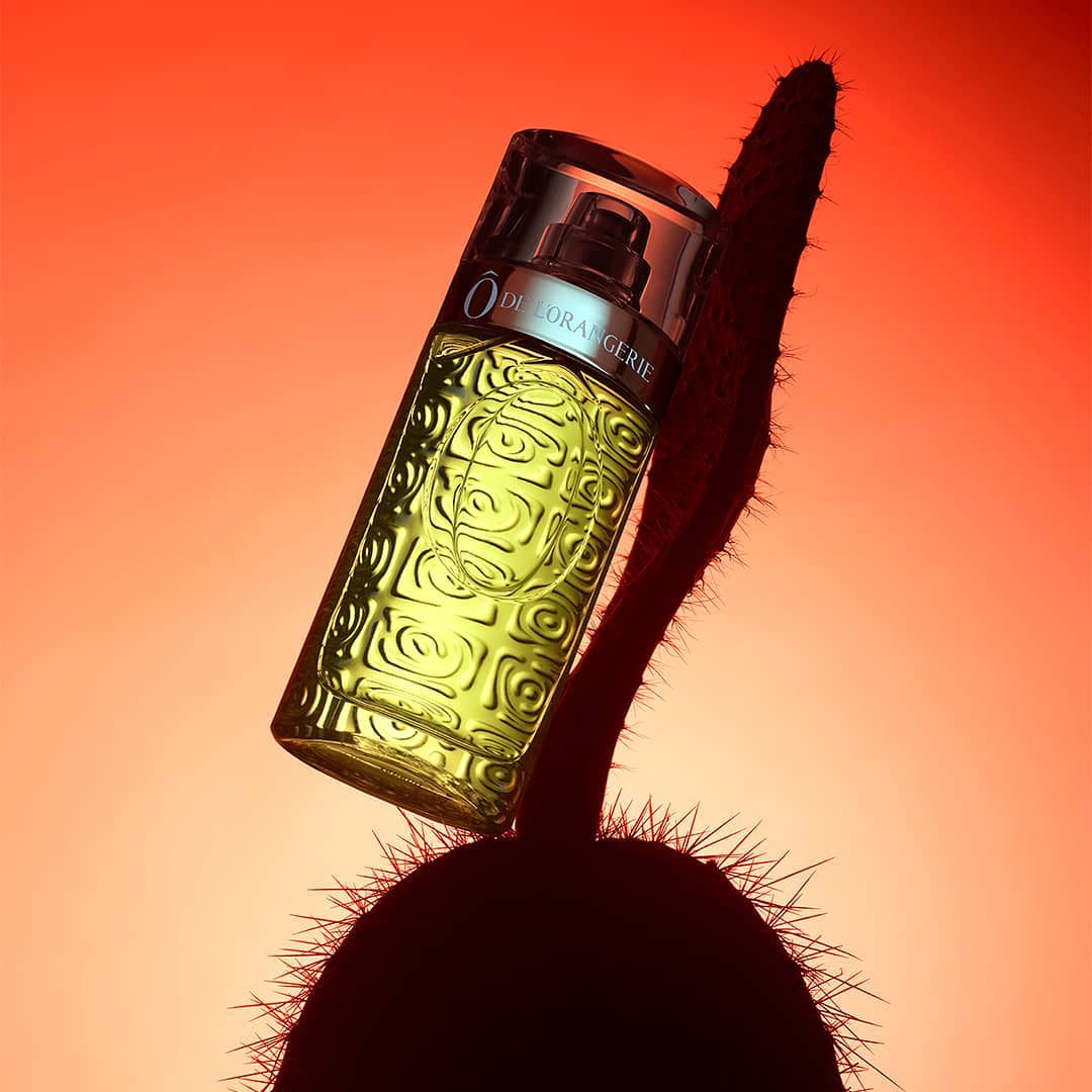Elegant perfume bottle from O De L'Orangerie positioned atop a silhouetted cactus against a gradient orange background.