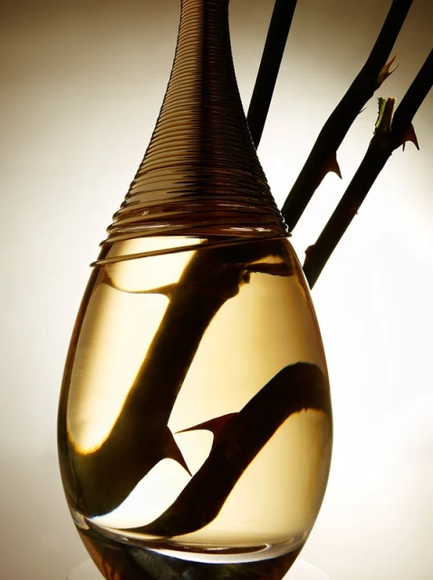 Perfume bottle with gold accents filled with liquid and thorny rose stems, against a soft gradient background in neutral tones.