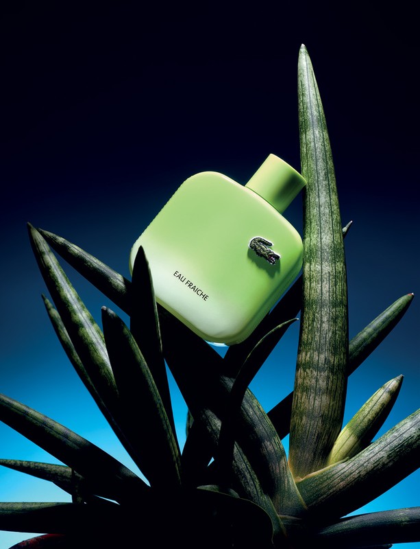 Close-up of a lime green Lacoste Eau Fraiche perfume bottle propped up by several large sansevieria plant leaves against a blue gradient backdrop.