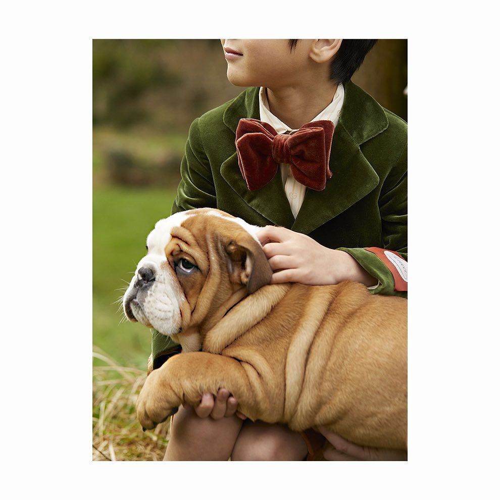 A young child in a green velvet suit and bow tie gently holds an English bulldog puppy while sitting outside in a grassy area.