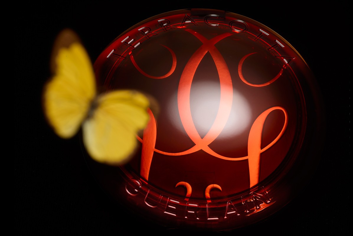 Yellow butterfly near red glass sphere featuring the Guerlain logo and brand name against a dark background in a beauty advertisement.
