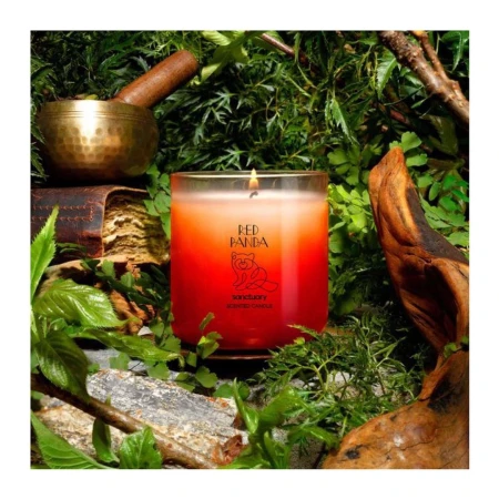 Aromatic red candle with a visible flame surrounded by verdant foliage, a brass bowl, and a vintage book in an indoor setting.