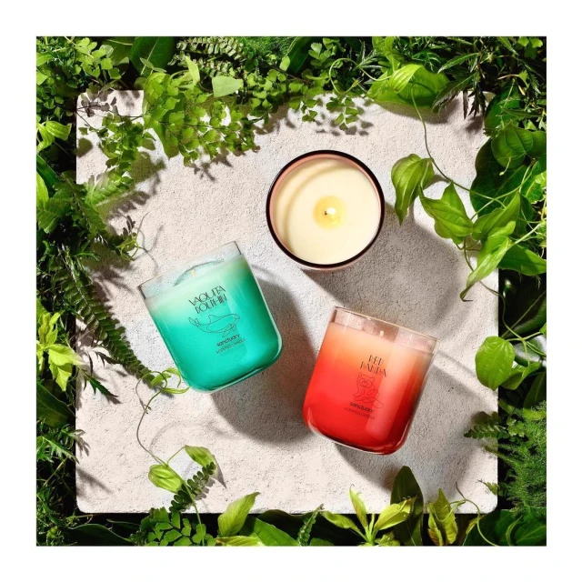 Two glass jar candles, in teal and red, are on a white surface with green foliage, creating a fresh and inviting product shot.
