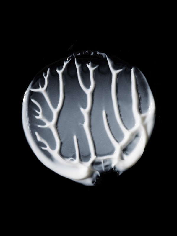 Macro photography of a white cream swirl against a stark black background, highlighting texture and contrasting colors.