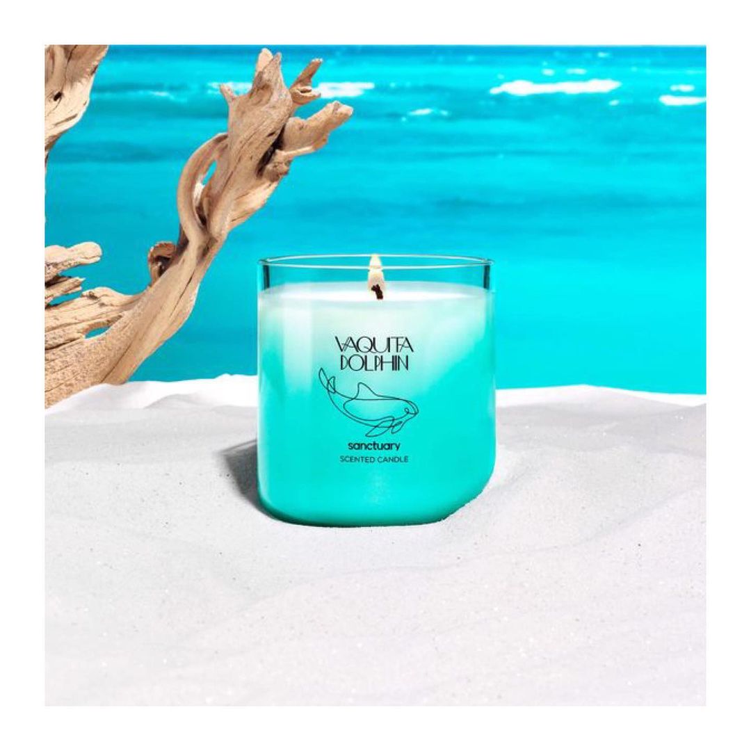 Candle on a sandy surface with ocean background. Turquoise candle with 'Vaquita Dolphin Sanctuary' text, driftwood on white sand.