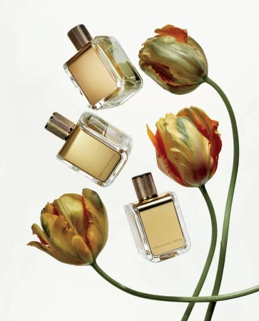 Still life studio shot: three perfume bottles with gold caps and accents paired with orange and green tulips, against white.
