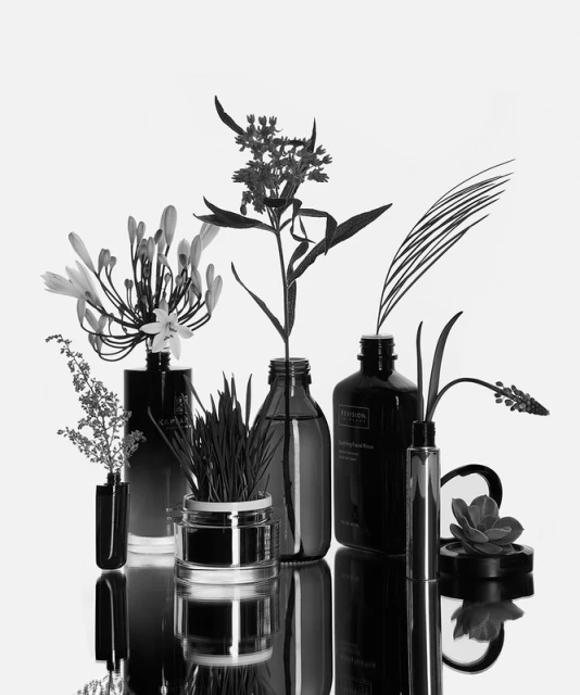 Monochrome still life: assorted flowers and plants in glass bottles and jars on a reflective surface against a white background.
