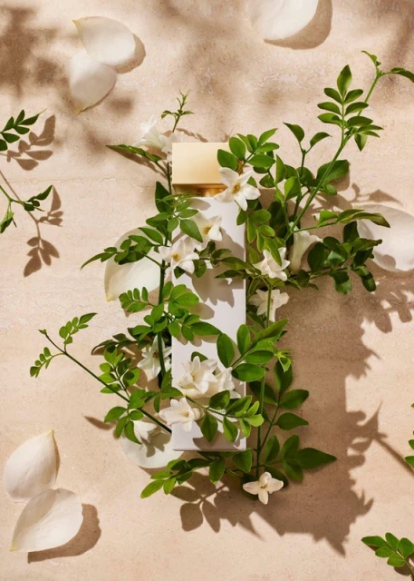 Still life of a white perfume bottle surrounded by green vines with white flowers, and scattered white flower petals on a beige surface.