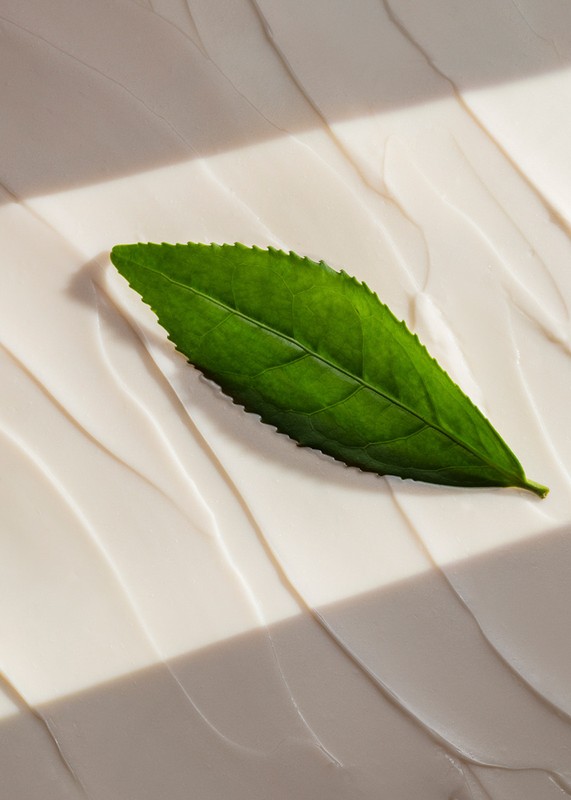 Close-up of a vibrant green leaf resting on top of a light-beige surface, creating a natural and soothing aesthetic for beauty ads.