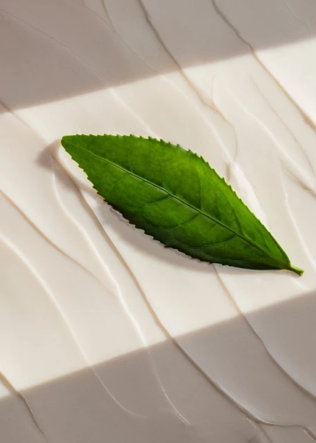 Close-up of a vibrant green leaf resting on top of a light-beige surface, creating a natural and soothing aesthetic for beauty ads.