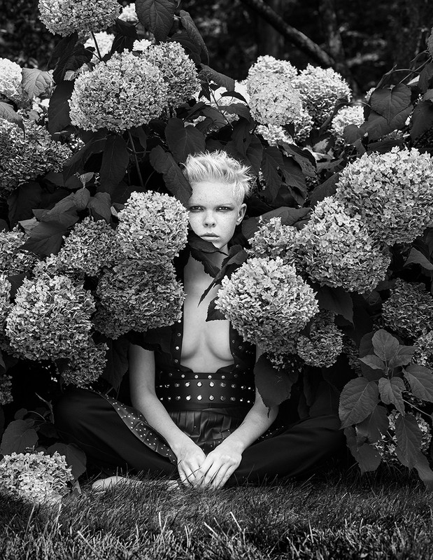 Black and white portrait of a young person sitting amidst blooming hydrangeas, gazing directly at the camera with a serious expression.