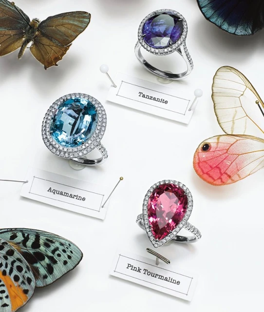 Close-up of three gemstone rings featuring aquamarine, pink tourmaline, and tanzanite, displayed on a white surface with butterfly specimens.