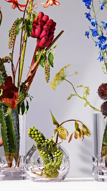 Still life with various flowers and plants in transparent glass vases, set against a soft white background, creating a fresh, vibrant composition.