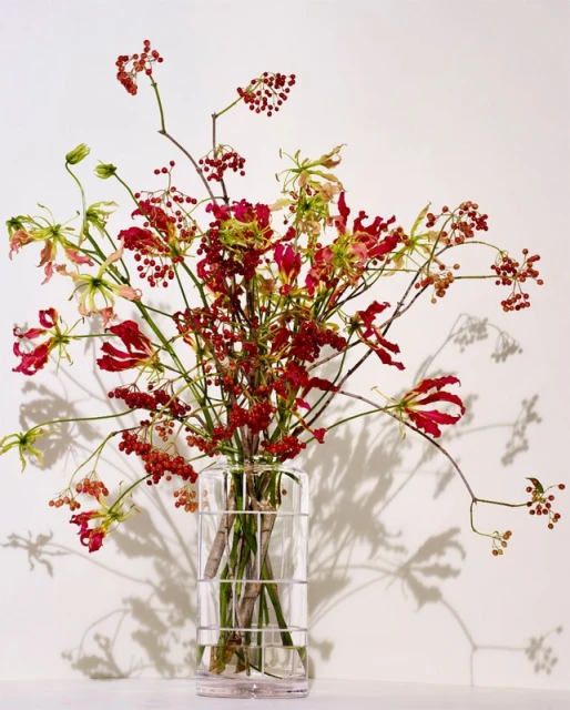 Floral arrangement in a clear glass vase on a white surface with red and green flowers and brown berries against a white backdrop.