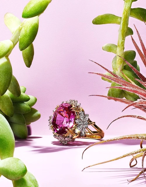 Close-up of an ornate gold ring with a large pink stone, surrounded by small diamonds, displayed against a pink background and succulents.