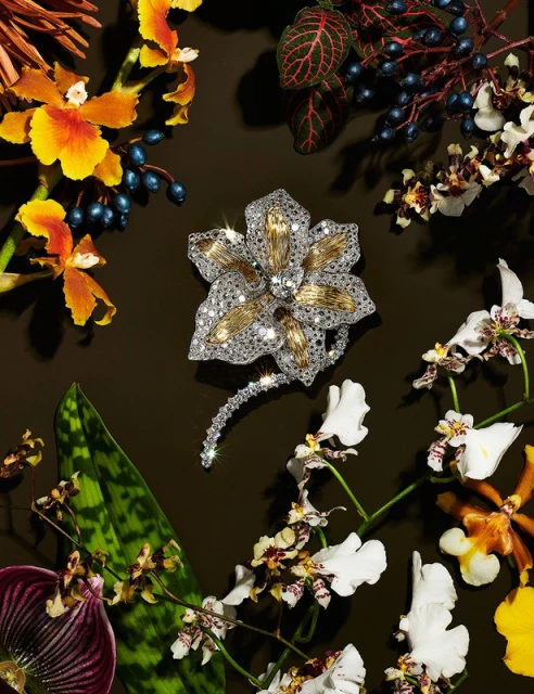 Close-up of a silver and gold flower brooch with diamonds surrounded by colorful orchid flowers and other plants against a dark background.