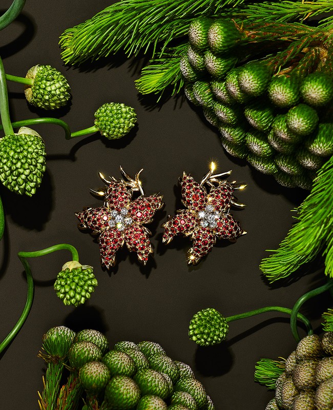 Elevated view of star-shaped ruby and diamond earrings nestled among vibrant green plant buds on a sleek black surface.