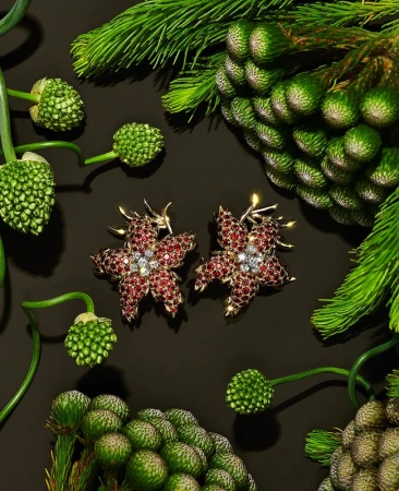 Elevated view of star-shaped ruby and diamond earrings nestled among vibrant green plant buds on a sleek black surface.