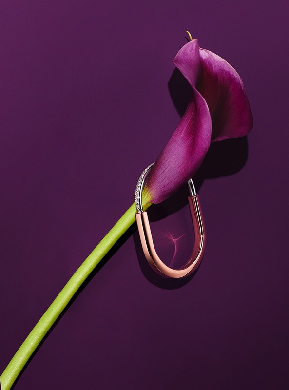 Rose gold diamond hoop earring delicately intertwined with a purple calla lily flower on a solid plum background.