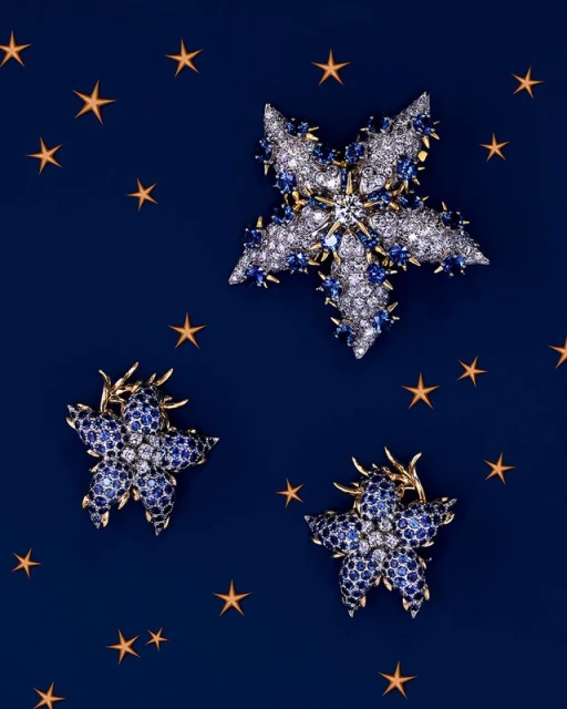 Three star-shaped brooches with white and blue gemstone embellishments on a blue background with small star graphics scattered.