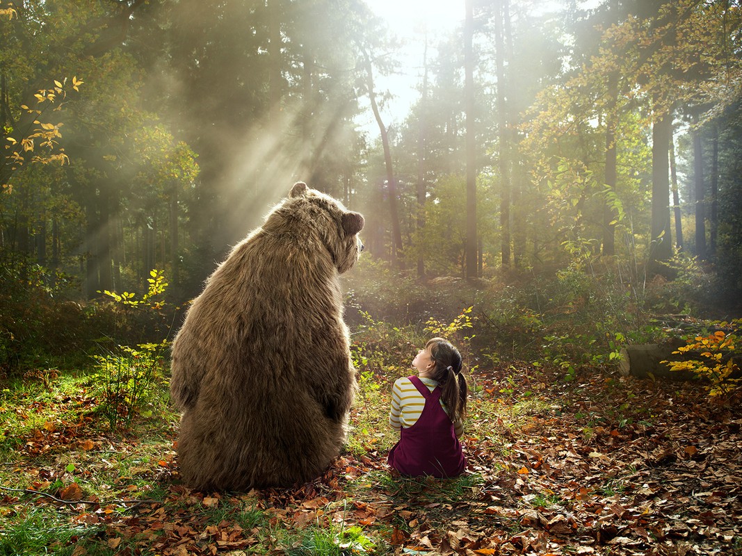 Back view of a girl sitting cross-legged in a forest, looking up at a standing brown bear in sunlight, creating a whimsical scene.