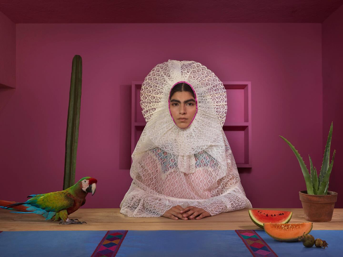 Portrait of a person wearing an elaborate white lace collar, with cactus, parrot, fruit, and a pink background. Fine art photography.